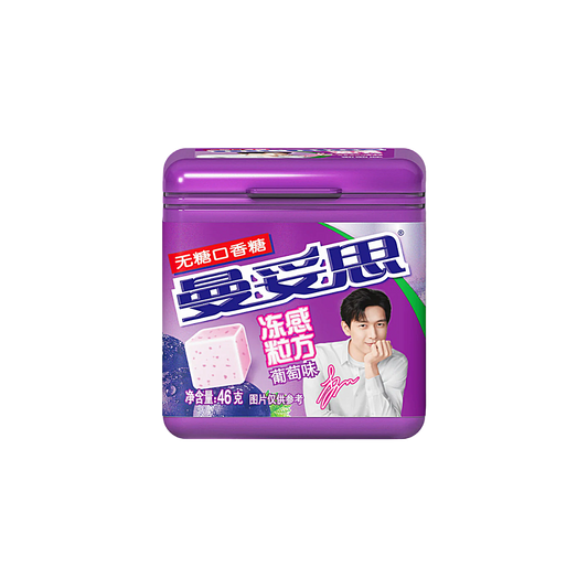 China - Mentos Mint Cube Chewing Gum Sugar Free (46g)